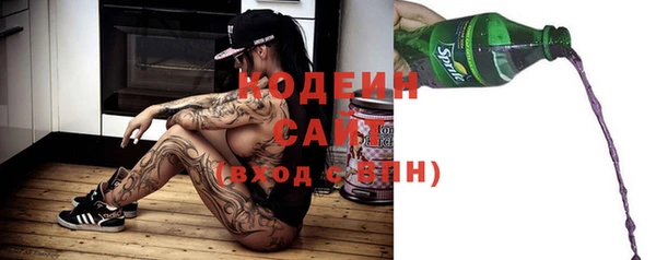 спиды Арсеньев