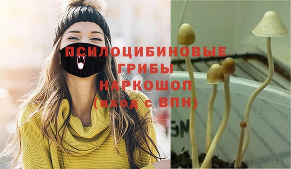 меф Армянск