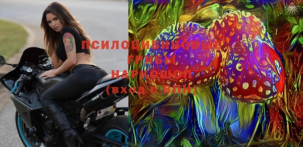 спиды Арсеньев