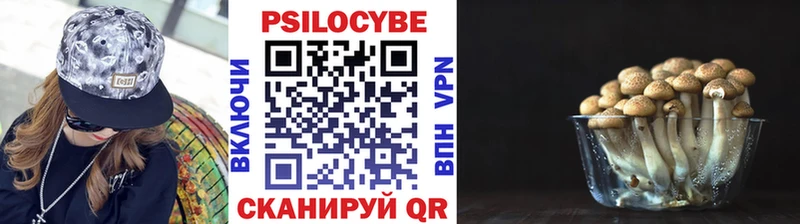 Купить где  Ржев  Галлюциногенные грибы GOLDEN TEACHER 